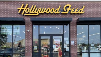 hollywood feed