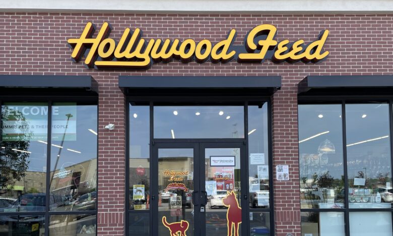 hollywood feed