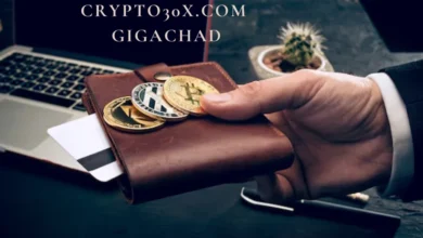 Crypto30x.com Gigachad