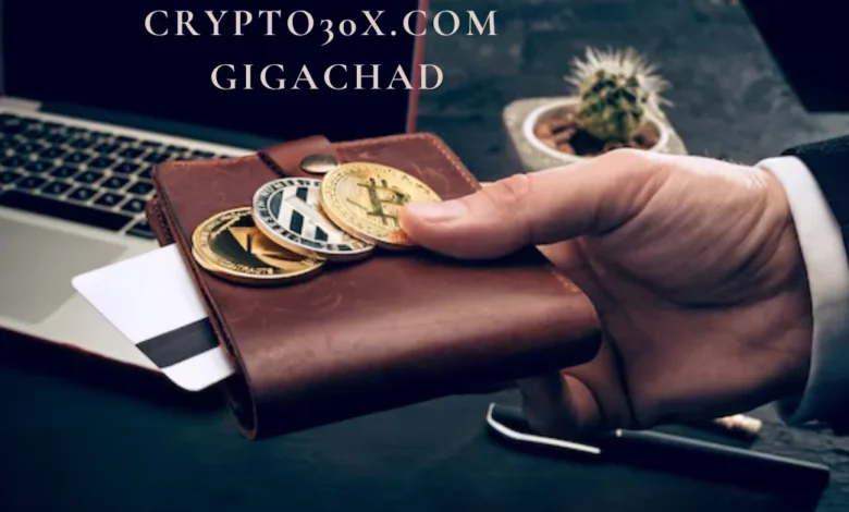 Crypto30x.com Gigachad