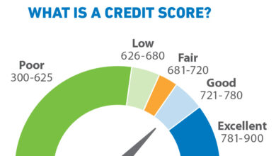 Credit Score