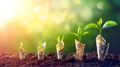 Investopedia Simulator Login