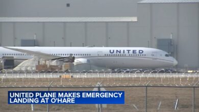 United Airlines Emergency Landing Newark