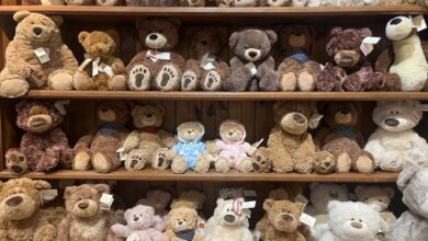 Shop Vermont Teddy Bear