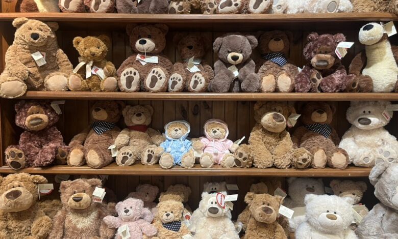 Shop Vermont Teddy Bear