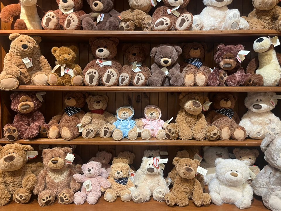 Shop Vermont Teddy Bear