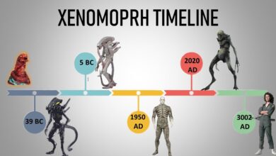 Alien Romulus Timeline