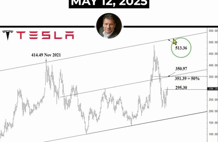 Tesla Stock Prediction 2025