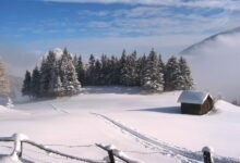 Weather Forecast Snow Storm