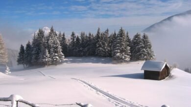 Weather Forecast Snow Storm