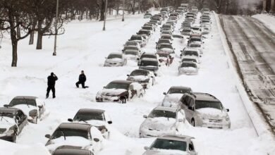 Polar Vortex Cold Weather Forecast