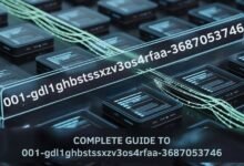 001-GDL1GHBSTSSXZV3OS4RFAA-3687053746